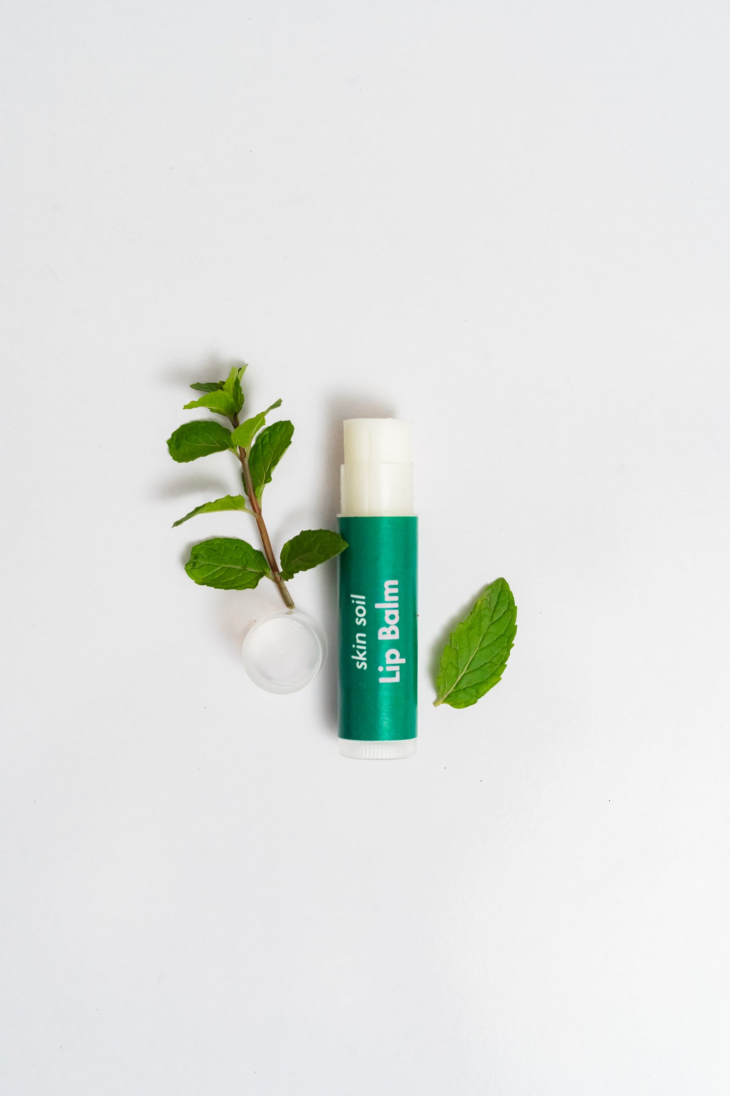 Lip Balm - Tinted & Transparent