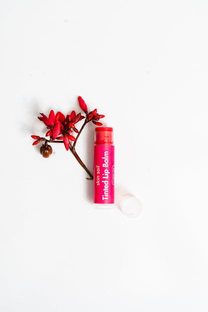 Lip Balm - Tinted & Transparent